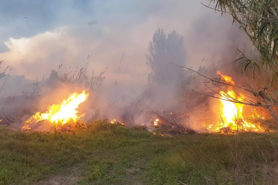 Incendio Rio Foddeddu (foto L'Unione Sarda - Secci)