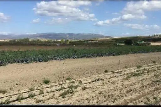 Un campo danneggiato