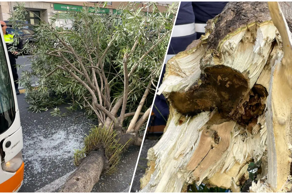 L'incidente in via Sonnino (foto L'Unione Sarda)