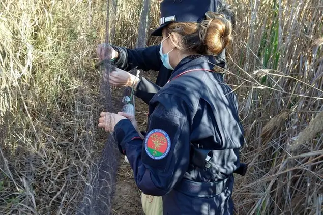 (foto carabinieri)