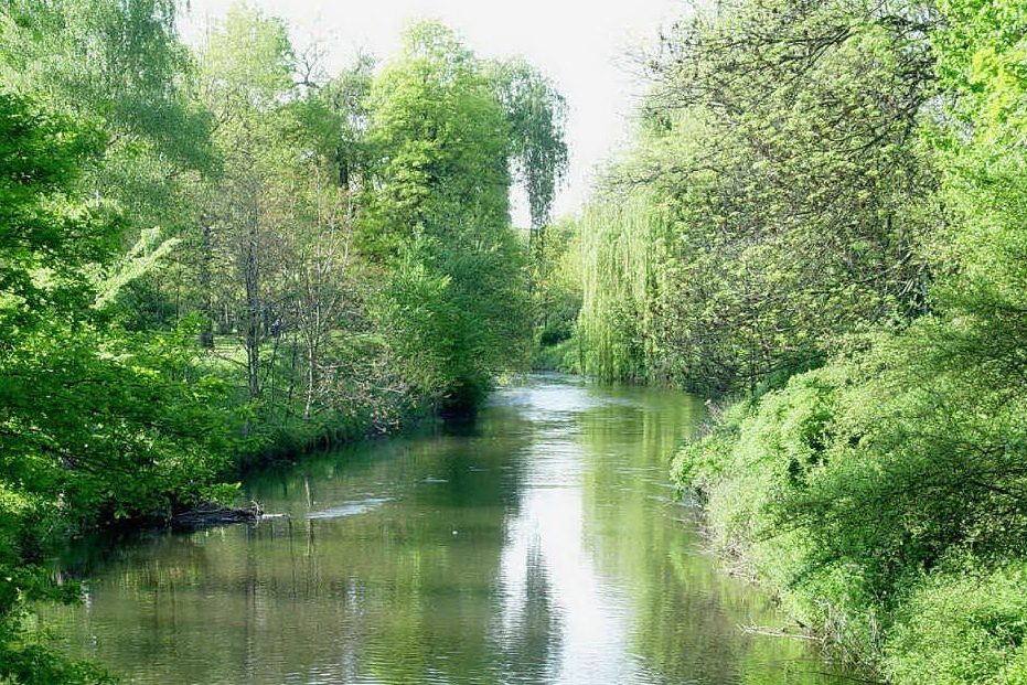 Il fiume Alb a Karlsruhe (fonte Wikipedia)