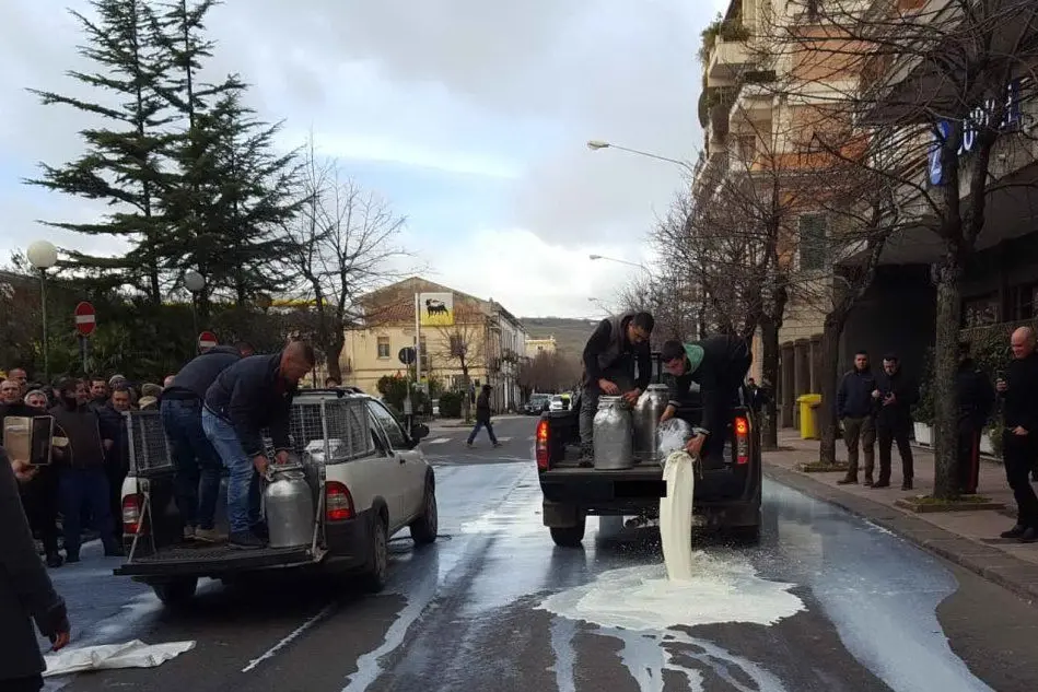 Il latte versato per strada a Macomer (foto L'Unione Sarda - Oggianu)
