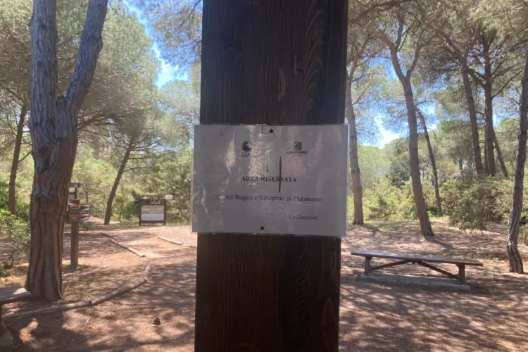 Il centro di educazione ambientale a Platamona (foto Pala)