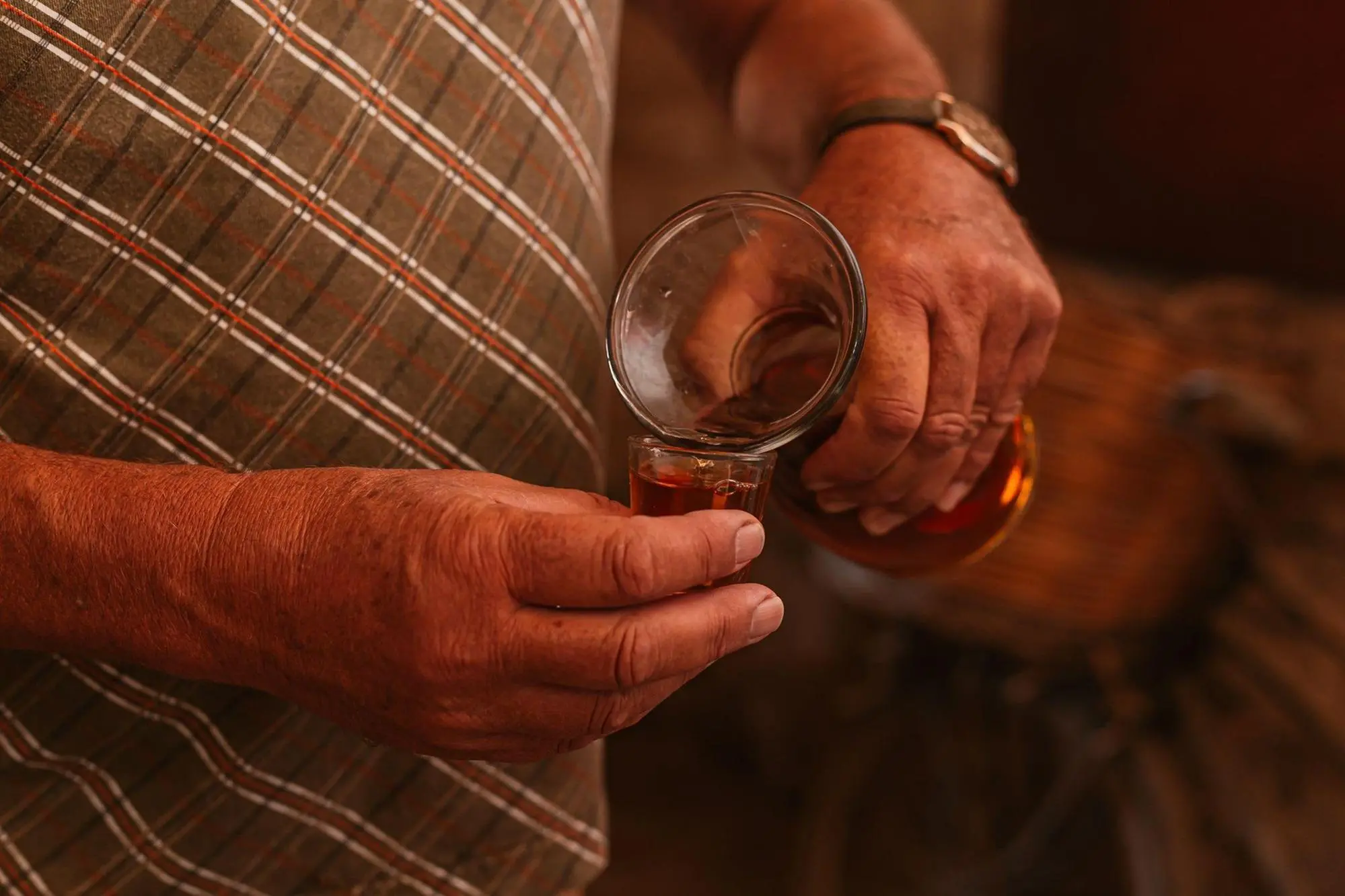 La Vernaccia durante un laboratorio (foto concessa)