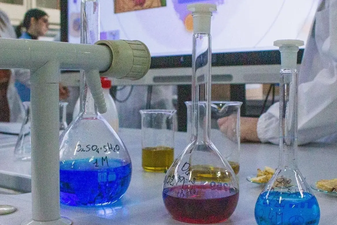 Un laboratorio (Foto concessa dall'Istituto )