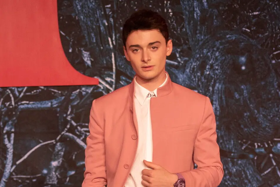 Noah Schnapp (Ansa)
