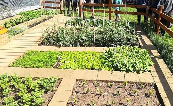 Muros, lavori nella scuola: orti didattici e yoga per bambini