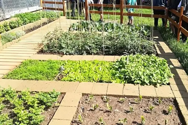 Orti didattici a Muros (foto concessa)