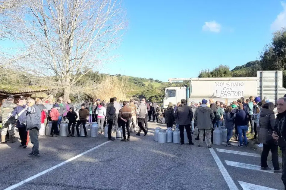 La protesta dei pastori a Mogorella (foto Antonio Pintori)