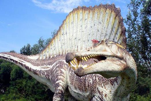 Lo spinosauro era un animale acquatico: la prova nelle ossa