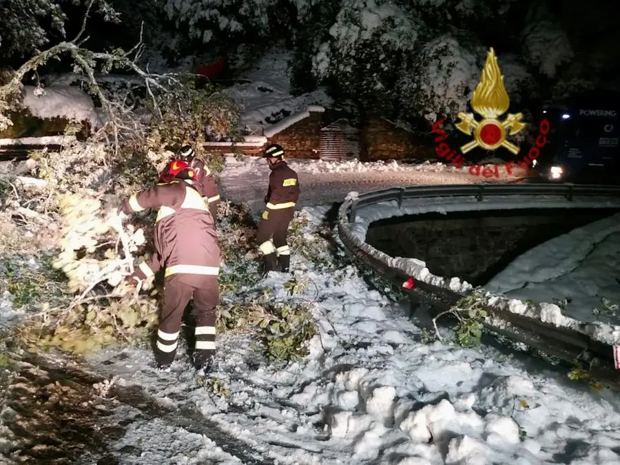 Gli uomini del 115 al lavoro (foto Vigili del fuoco)