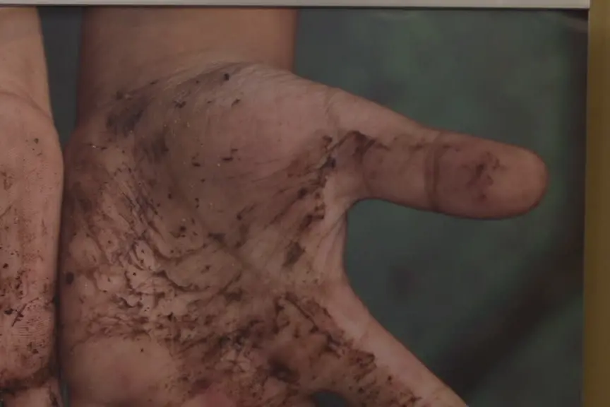 Giornata Mondiale del Suolo 2025, evento CIC a Roma