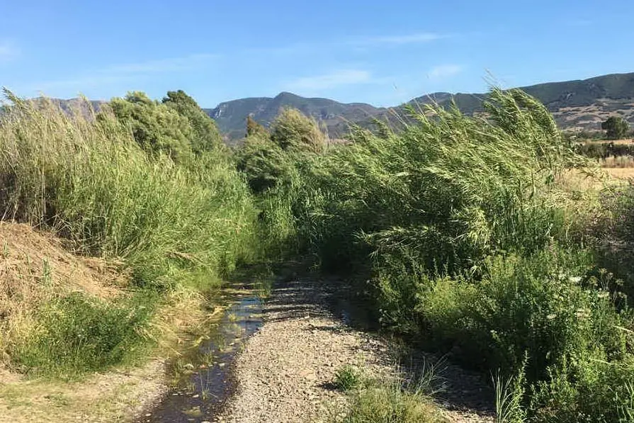 Corsi d'acqua