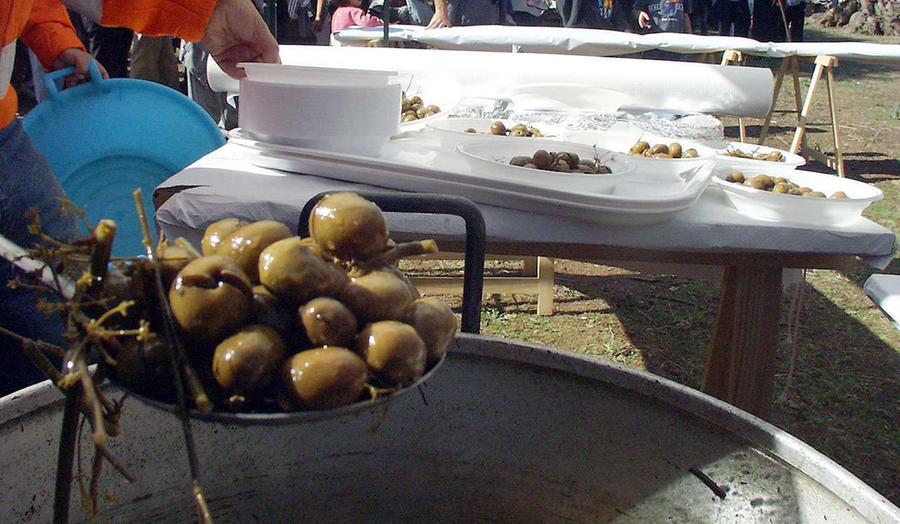 Olive e olio protagonisti per tre giorni