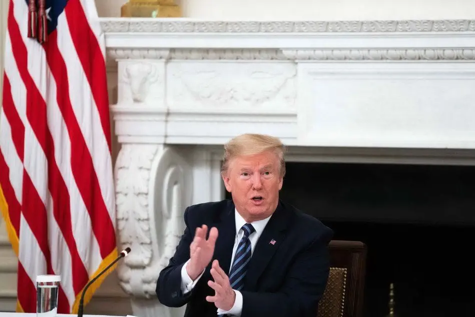 Donald Trump (Ansa)