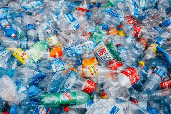 Plastica (foto concessa)