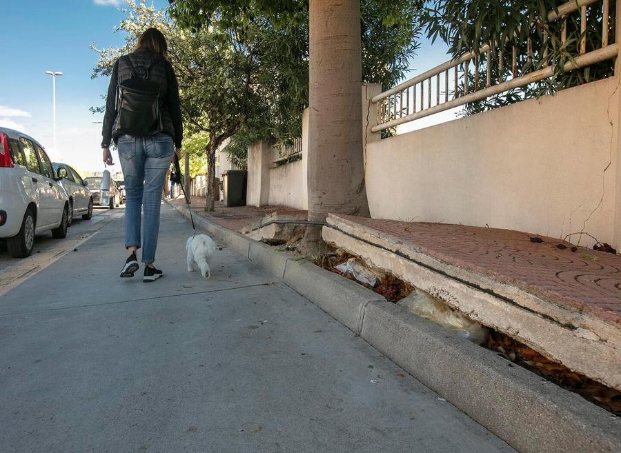 Passeggiata col cane in sicurezza, ecco le regole