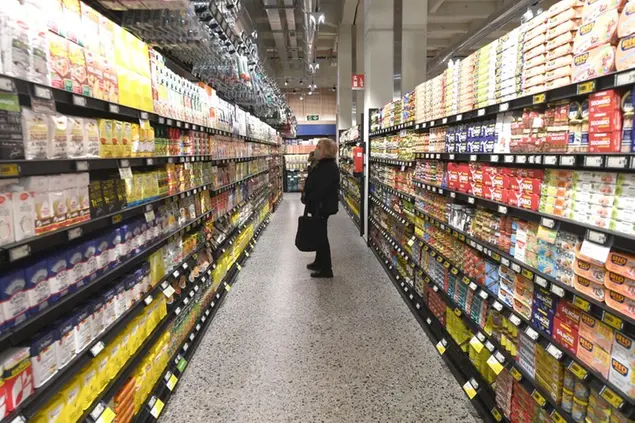 Un supermercato (Ansa)