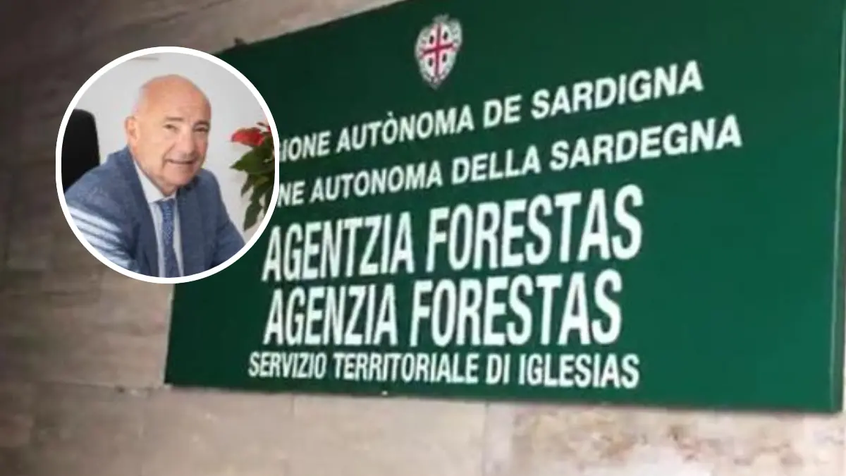 https://immagini.unionesarda.it/version/c:NzdiNzBiMGItZmVkMi00:NWZkMTQ3MDEtNDAyMS00/image.webp?f=16:9