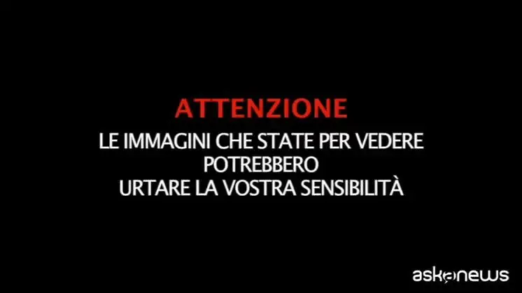 https://immagini.unionesarda.it/version/c:NzdlMzljZTAtMjAyMi00:Y2ExOTU4MjUtYWQ2Yy00/image.webp?f=16:9