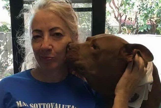 Monica Pais e l'amore per gli animali: per la veterinaria oristanese un importante riconoscimento