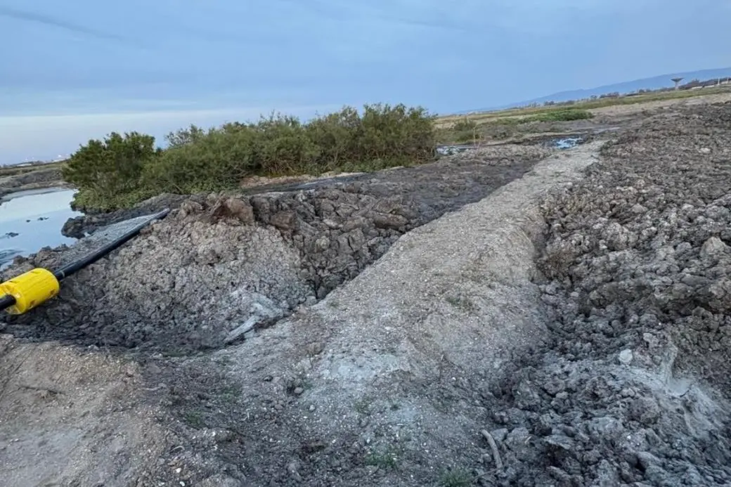 I lavori nello stagno (Foto concessa)