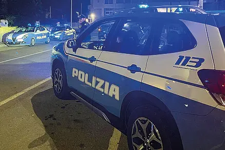 Polizia (Ansa)