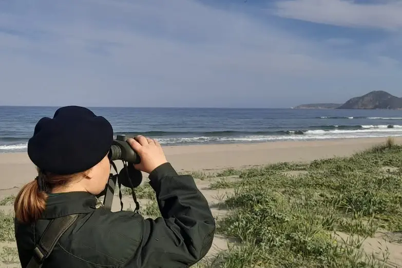 (Foto Comune di Muravera)