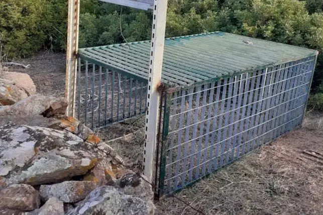 La gabbia sequestrata (foto Corpo forestale)