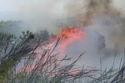 Un incendio scatenato dall'abbruciamento delle stoppie