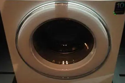 Il piccolo si è infilato dentro una lavatrice (Ansa)