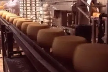 Guerra tra Sardegna e Toscana sulla paternità del pecorino &quot;anticolesterolo&quot;