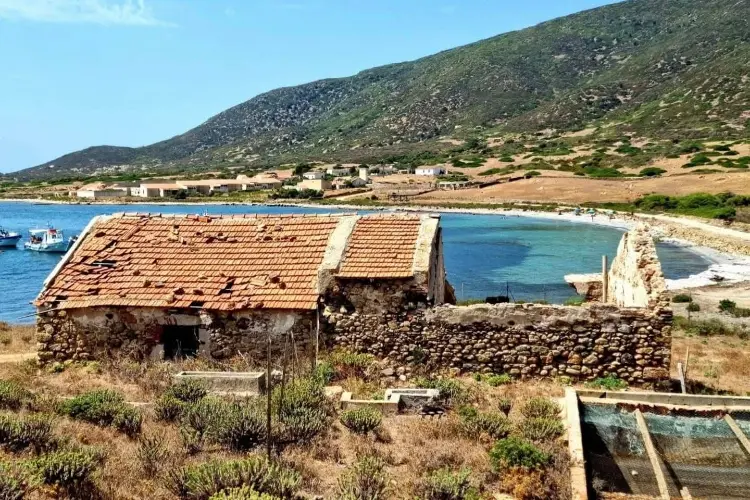 L'Asinara (foto Pala)