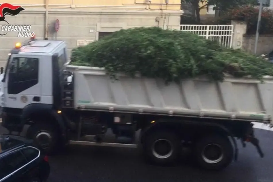 Un camion carico di marijuana sequestrata (Foto carabinieri)