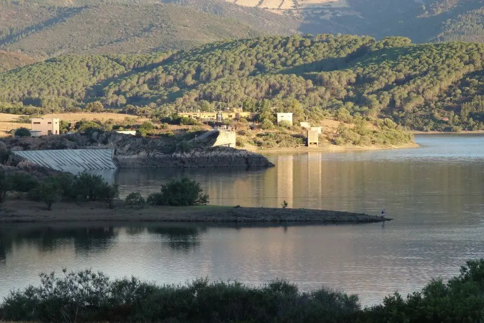 La diga Maccheronis, in territorio di Torpè (Archivio L'Unione Sarda)