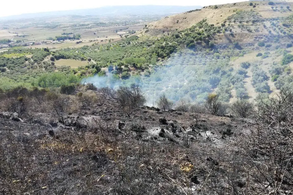 L'area percorsa dell'incendio nelle campagne di Tuili (foto Pintori)