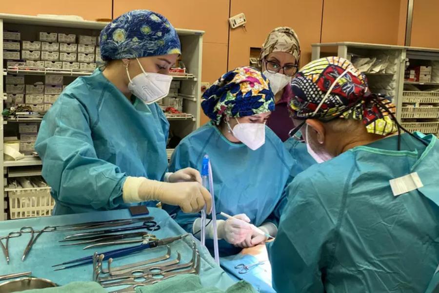Trapianti, Sardegna sul podio delle regioni più virtuose d’Italia: +48% di interventi in un anno