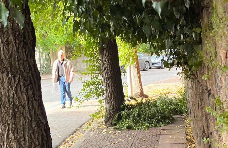 Incuria urbana, in arrivo maxi multe
