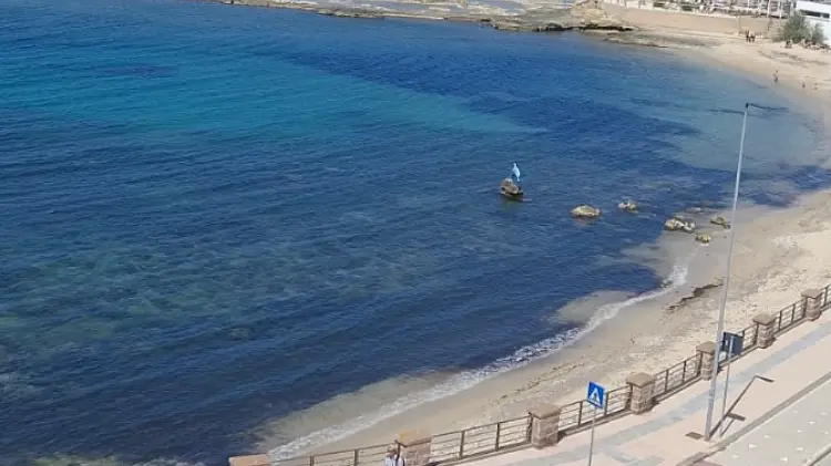 https://immagini.unionesarda.it/version/c:ODA3NmJhNjMtYTNlZC00:ZWM4YWZhMDgtMzkzYS00/image.webp?f=16:9