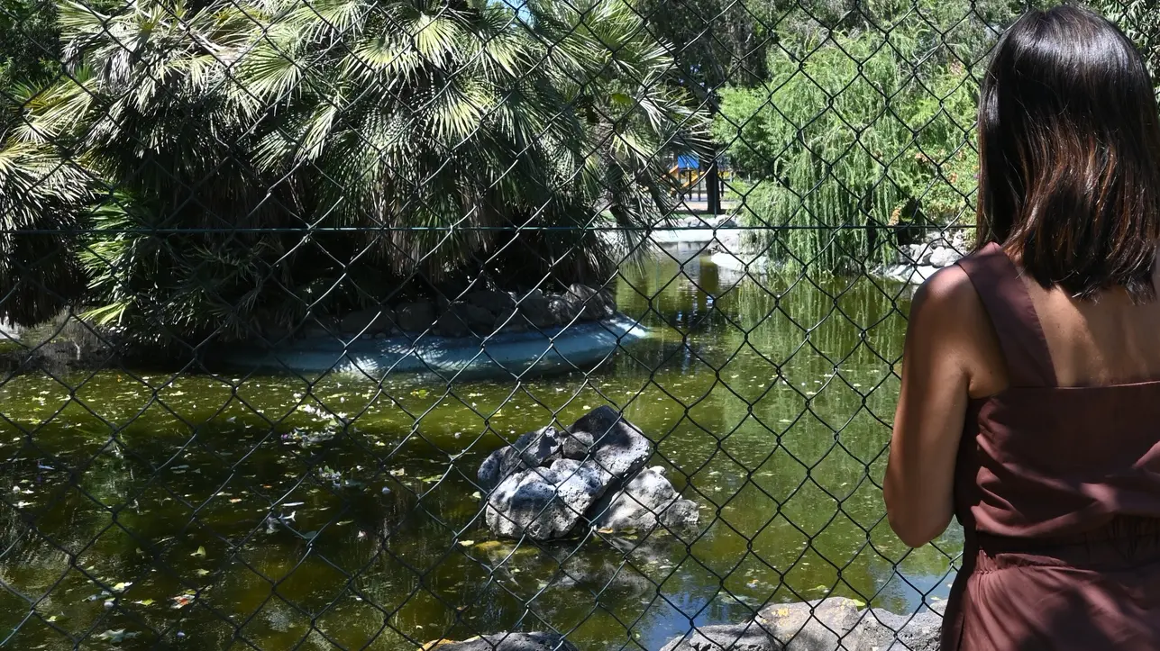 Zanzare in aumento, emergenza Febbre del Nilo in Sardegna: primo decesso nel 2026