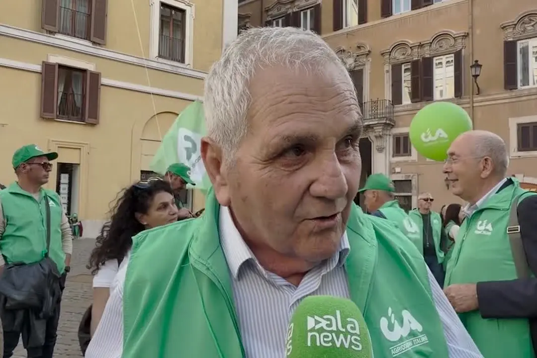 Agricoltore in lacrime: "In Puglia il settore sta morendo"