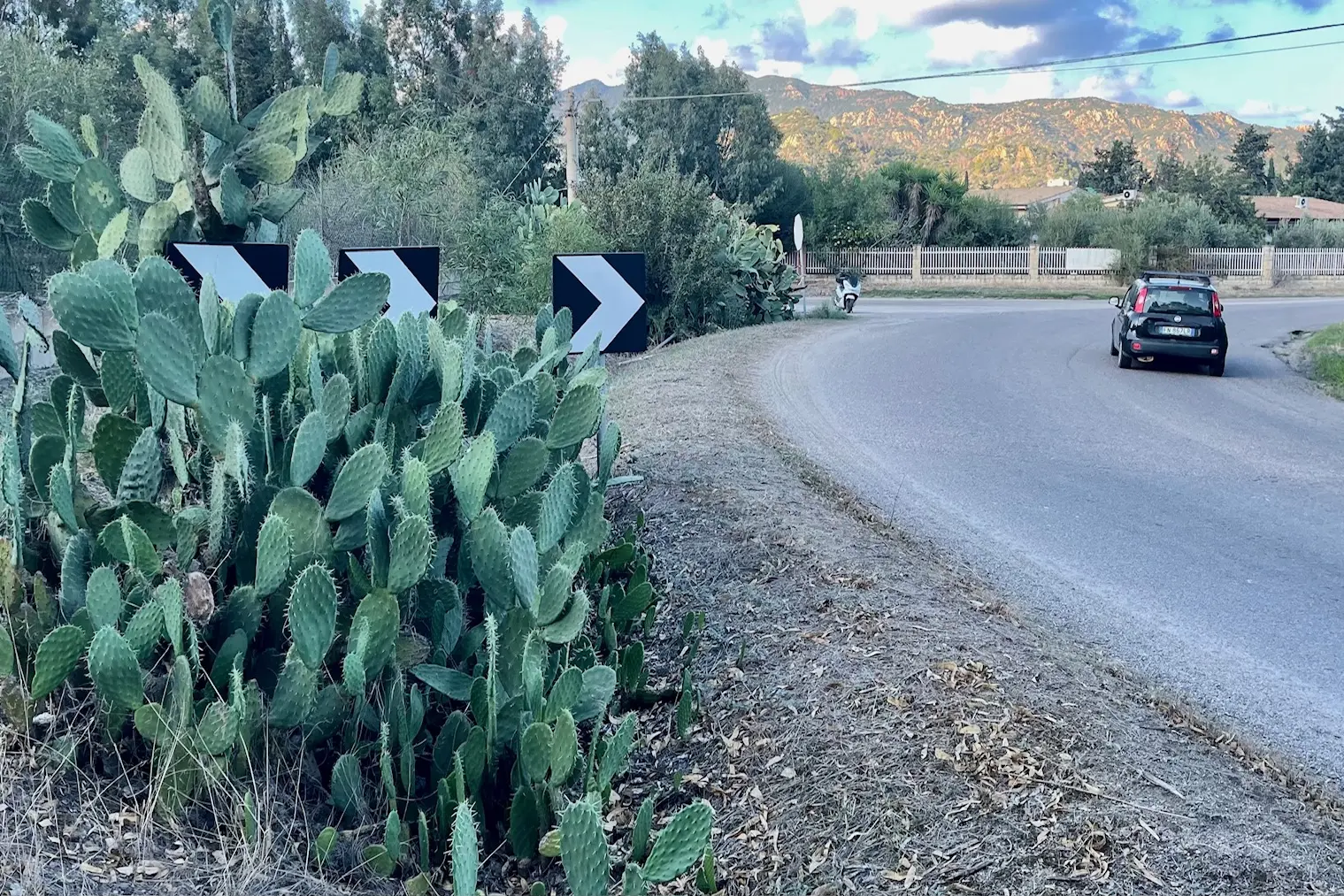 I cartelli coperti dai fichi d'india (foto Agus)
