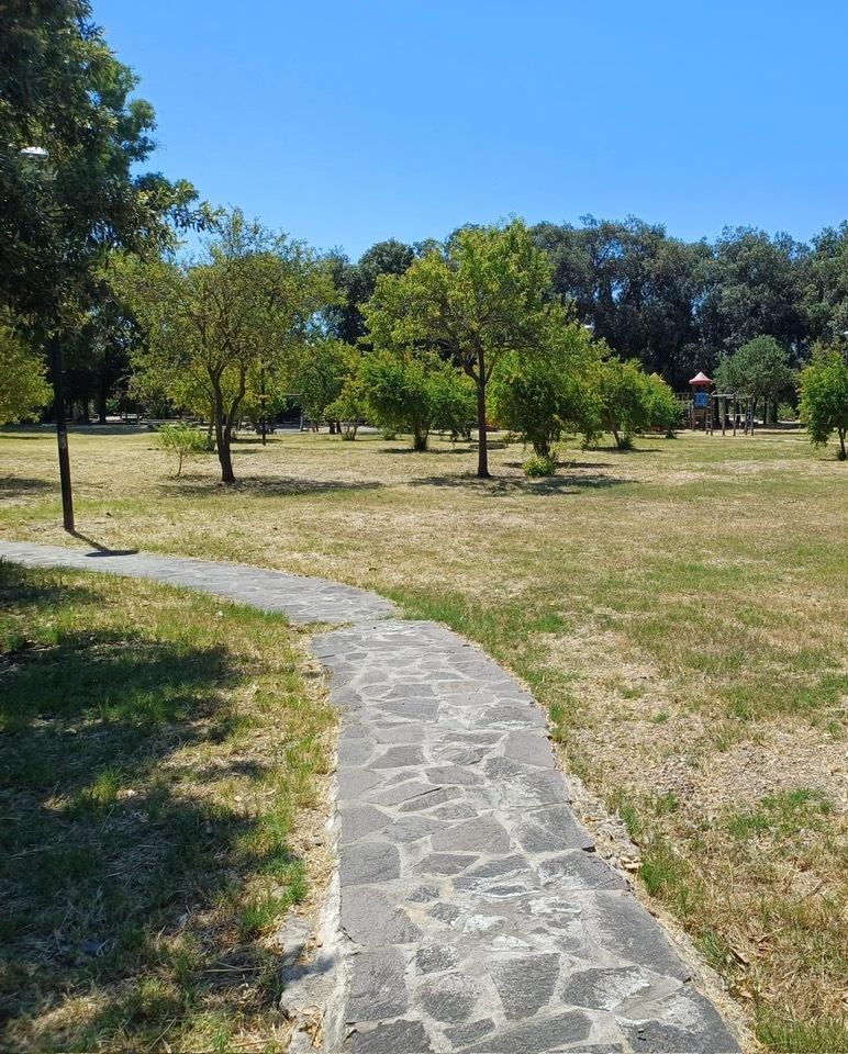 Al via i lavori per la riqualificazione del parco comunale Rolandi