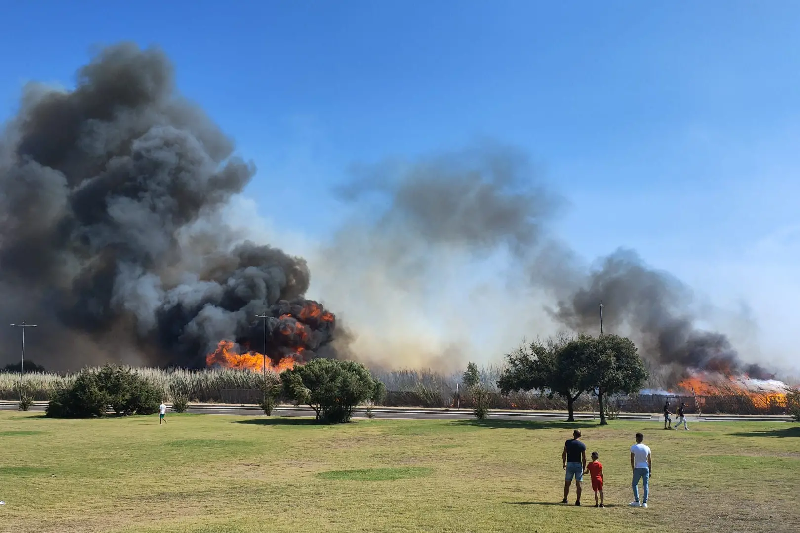 Incendi in Sardegna (foto L'Unione Sarda)