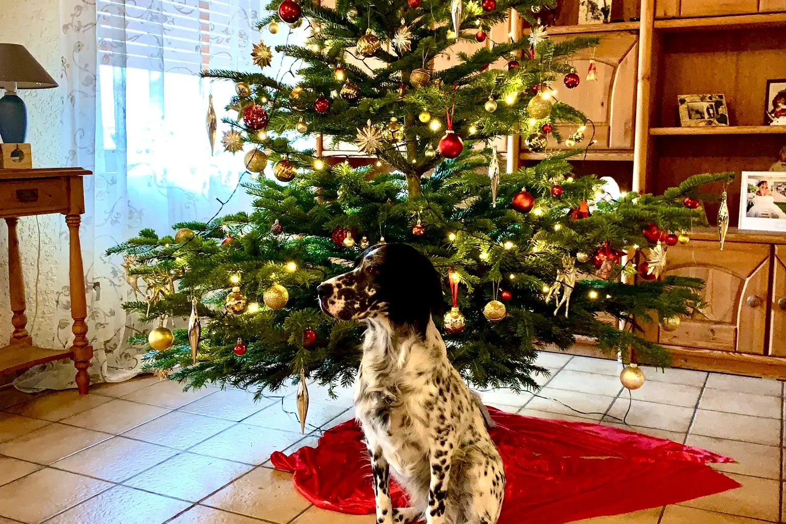 Buone feste da Masha