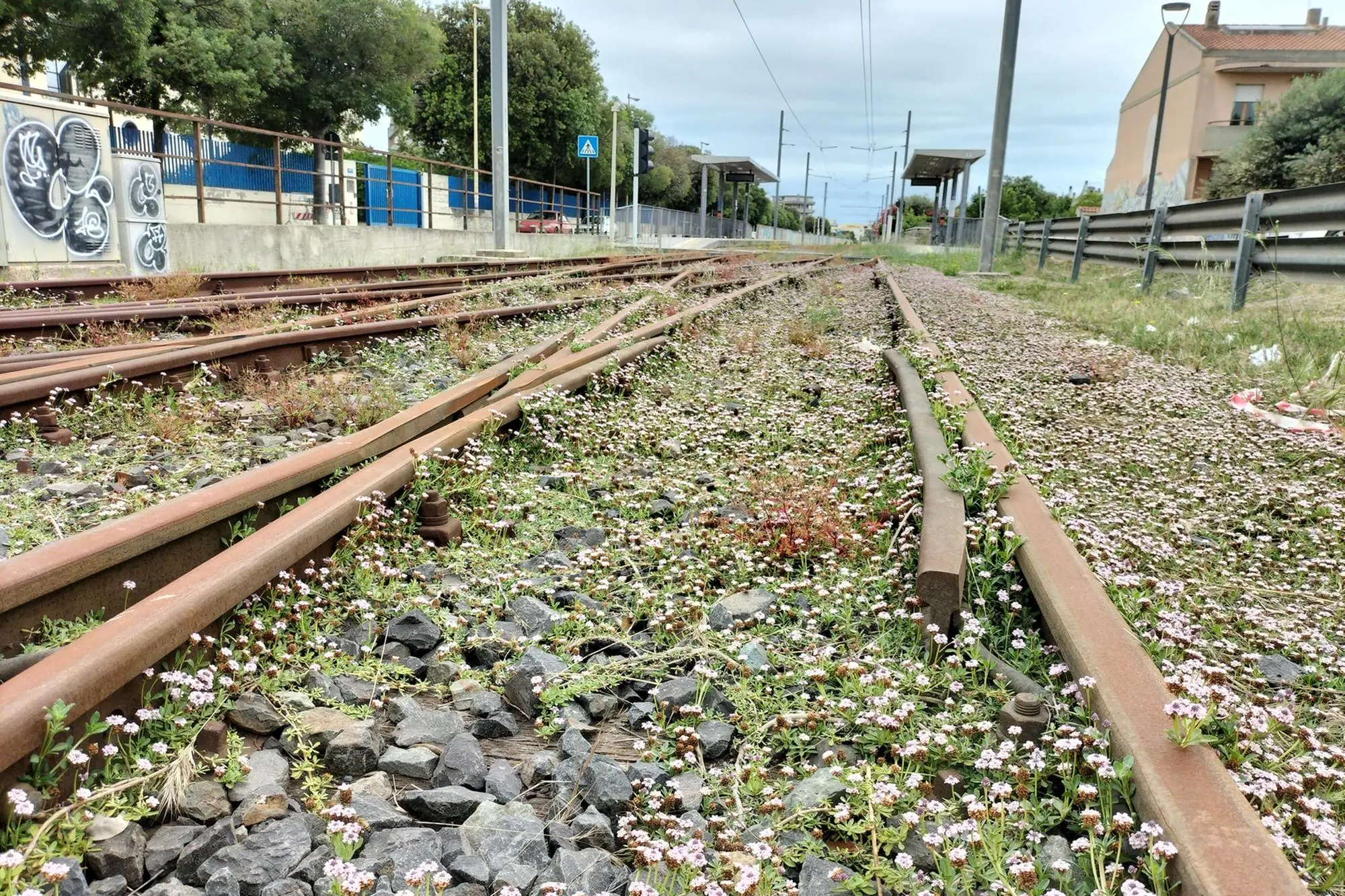 Il passaggio della Metro accanto a via Vesalio