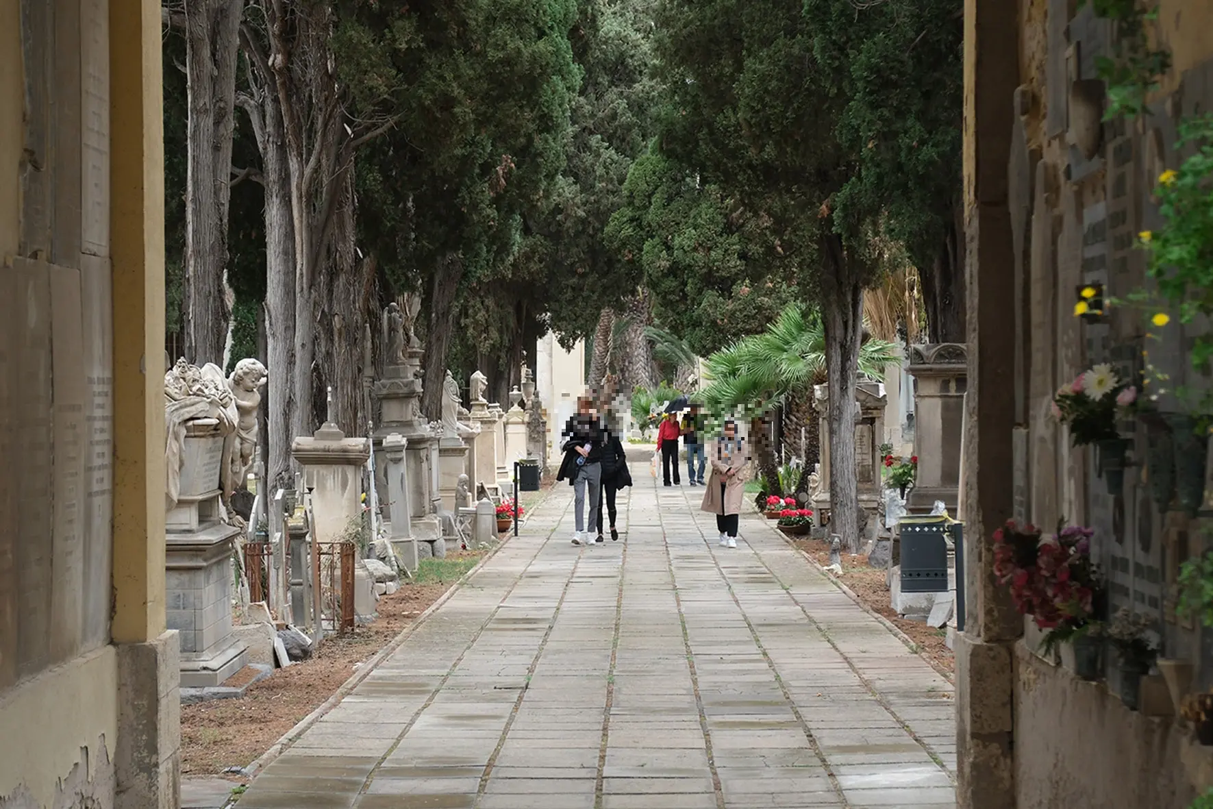 Il cimitero di Bonaria (Archivio L'Unione Sarda)