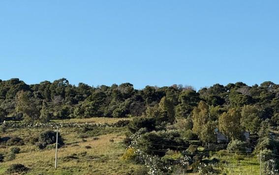Settimo San Pietro, approvato il progetto per il recupero delle terre civiche