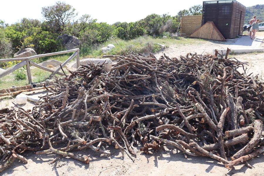 Abbattuti i ginepri a Punta Molentis: denunciato il titolare del chiosco