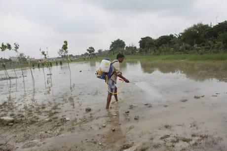 Epidemia di dengue in India, è allarme: decine di morti, tanti bambini